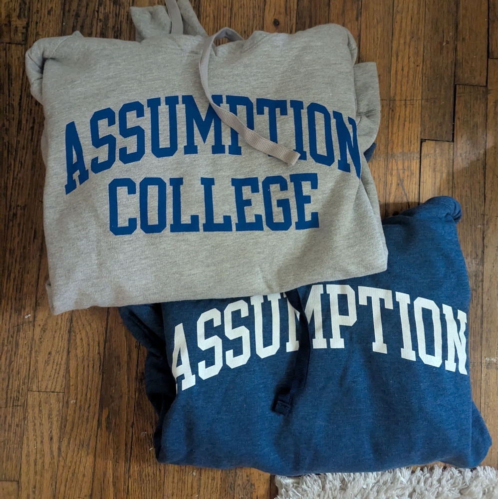 Assumption College Gray And Blue Hoodie